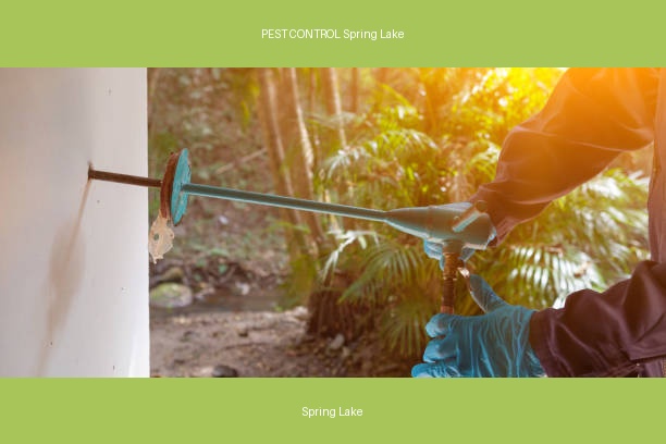 PEST CONTROL Spring Lake